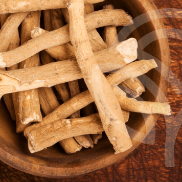 Ashwagandha NSP Ashwagandha NSP NSP, модель 23072 | Изображение № 1