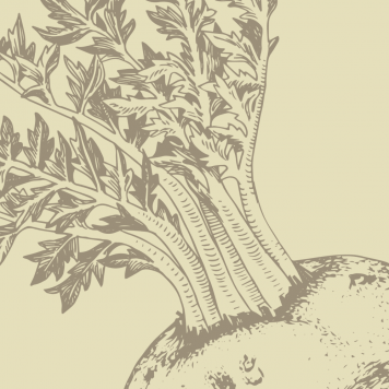 Boost NSP  Boost NSP NSP, model 1121 | Image № 1