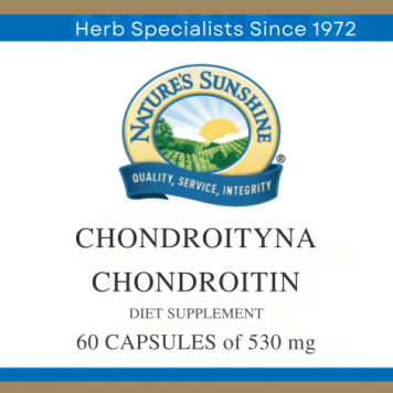 Chondroitin NSP Chondroitin NSP NSP, модель 1811 | Изображение № 1