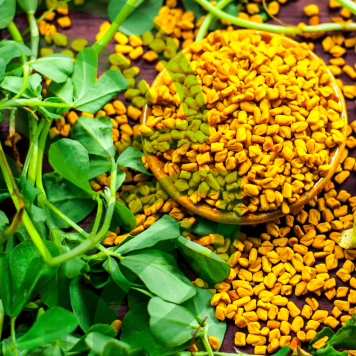 Fenugreek & Thyme NSP Fenugreek & Thyme NSP NSP, модель 885 | Изображение № 1