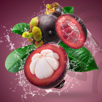  Zambroza NSP NSP, model 4104 | Image № 2