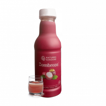  Zambroza NSP NSP, model 4104 | Image № 1