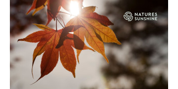 Fall metabolic upgrade: which supplements will help speed up your metabolism Fall metabolic upgrade: which supplements will help speed up your metabolism