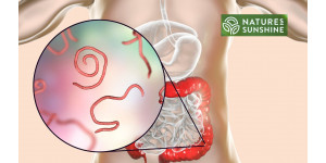 How to defeat parasites and candidiasis safely and naturally: NSP program