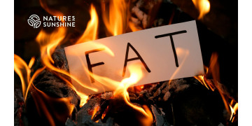 Why does the body need fat? The role of adipose tissue in toxicological defense