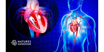 The heart is protected: how to reduce risks and strengthen blood vessels The heart is protected: how to reduce risks and strengthen blood vessels