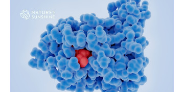 Nutriciological approach to recovery after oncology: how to support the body with the help of NSP Nutriciological approach to recovery after oncology: how to support the body with the help of NSP