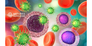 How to strengthen immunity in summer: natural solutions from NSP How to strengthen immunity in summer: natural solutions from NSP