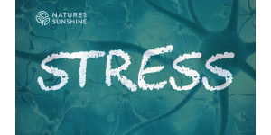 Stress and the nervous system: how to help the body adapt and recover Stress and the nervous system: how to help the body adapt and recover