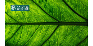 Smart products for varicose veins: the NSP experience Smart products for varicose veins: the NSP experience
