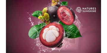 Фиолетовый щит: как Zambroza укрепляет здоровье сосудов и замедляет старение Фиолетовый щит: как Zambroza укрепляет здоровье сосудов и замедляет старение