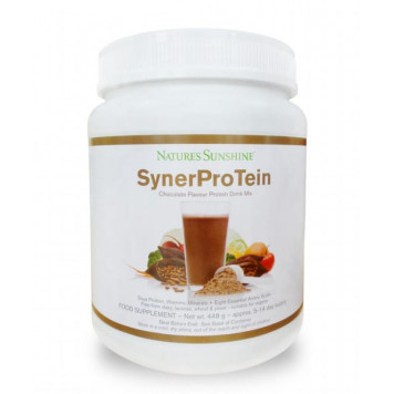 SynerProTein Chocolate NSP, model 2905